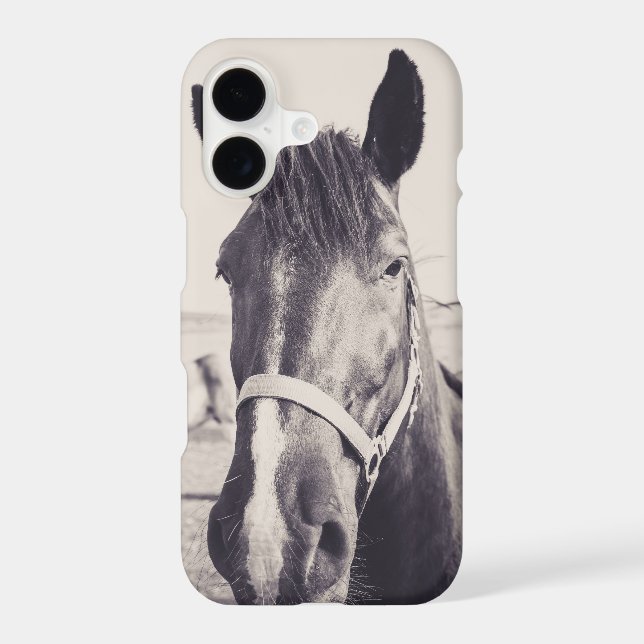 Horsehead 008 (Back)