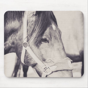 Horsehead 009 mouse pad
