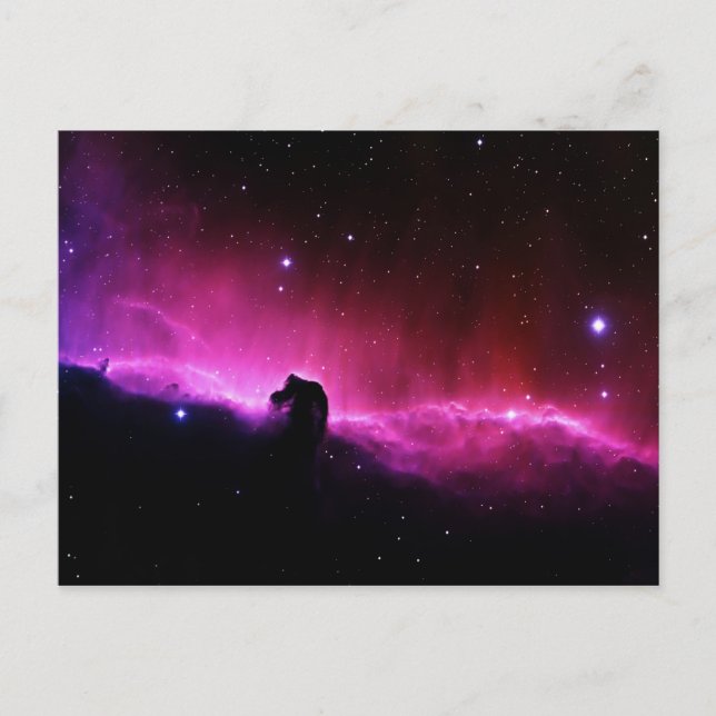 Horsehead Nebula Postcard (Front)