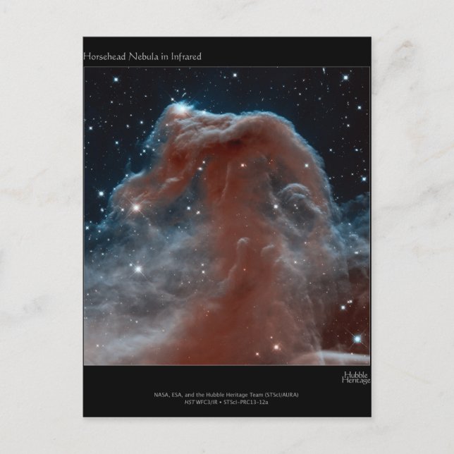 Horsehead Nebula Postcard (Front)