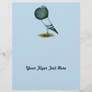 Horseman Pouter Pigeon Blue Flyer