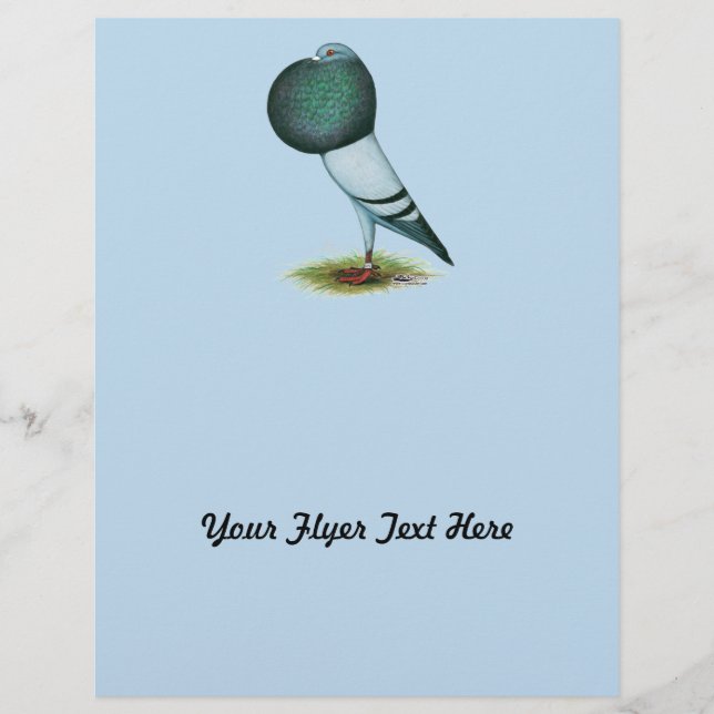 Horseman Pouter Pigeon Blue Flyer (Front)