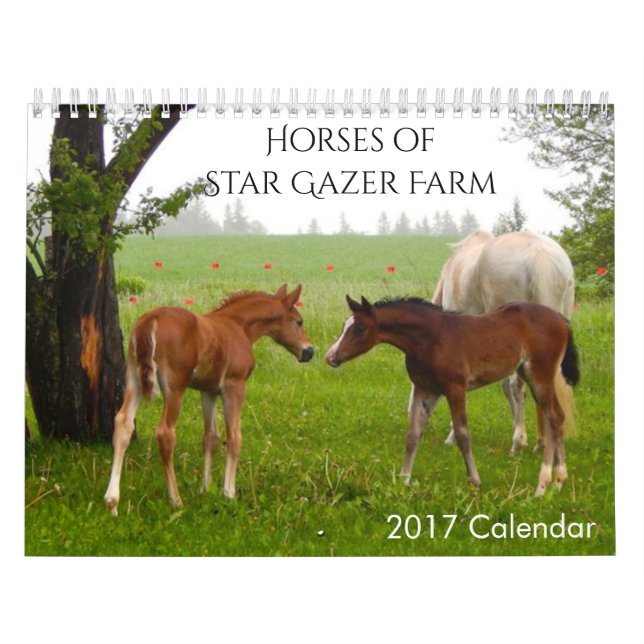 Horses 2017 Calendar (Cover)