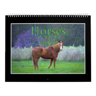 Horses 2017 Monthly Calendar By Thomas Minutolo