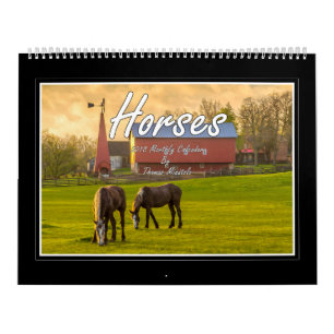 Horses 2018 Monthly Calendar By Tom Minutolo