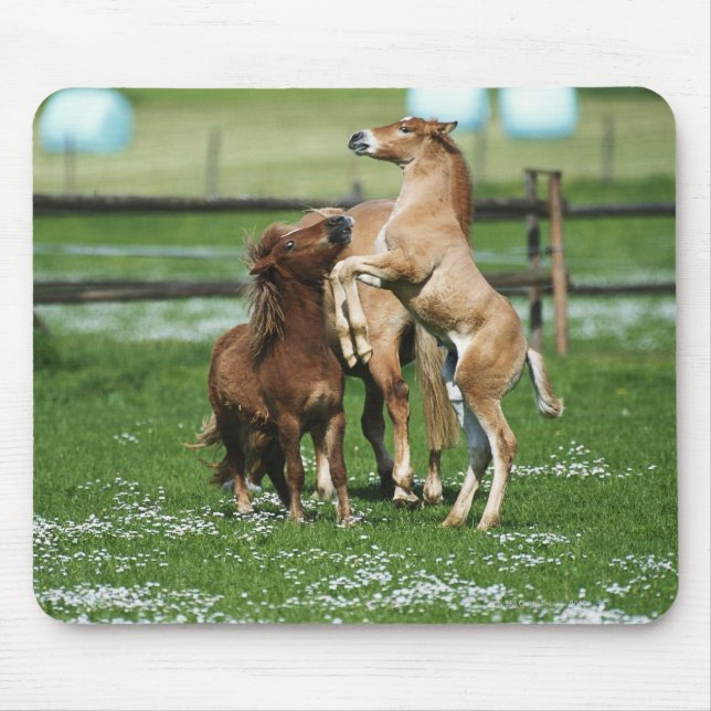Horses 3 mouse pad (Front)