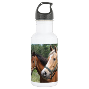 Horses 532 Ml Water Bottle
