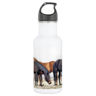 HORSES 532 ML WATER BOTTLE