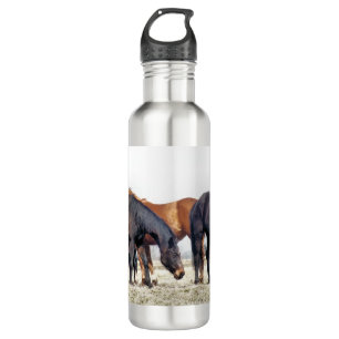 HORSES 710 ML WATER BOTTLE