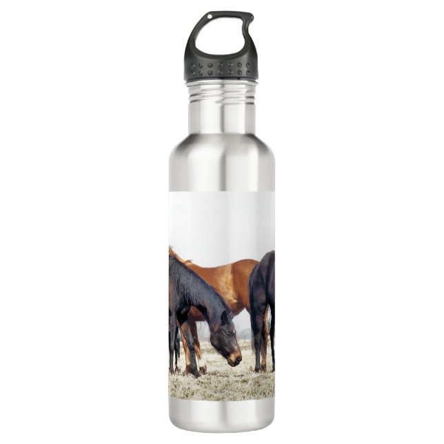 HORSES 710 ML WATER BOTTLE (Front)