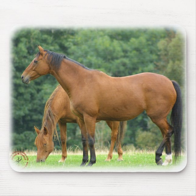 Horses 9A81D-10 Mouse Pad (Front)