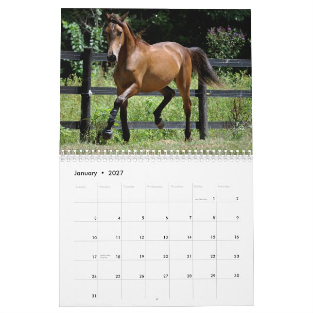 Horses and Dogs 2014 Calendar (Jan 2027)
