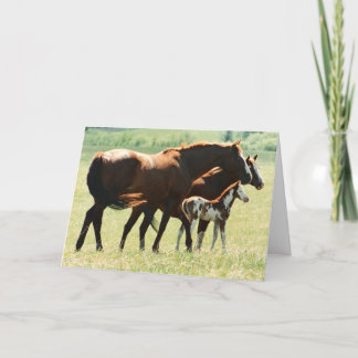 Horses and Foal Picture Card