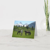 Horses and Mules in front of Teton Mountains