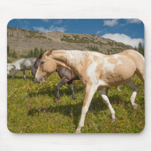 Horses and Mules Mouse Pad