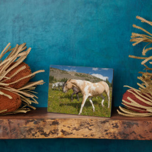 Horses and Mules Plaque