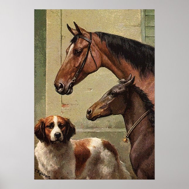 Horses and St Bernard Vintage Art Poster (Front)