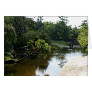 Horses and the River
