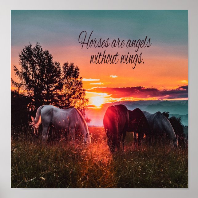 Horses are angels without wings poster (Front)