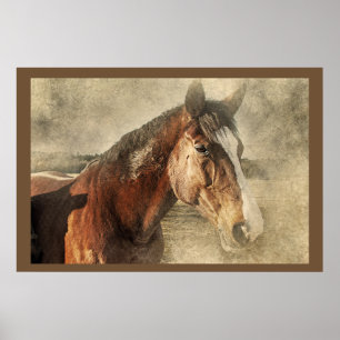 Horses Artwork Photo Poster
