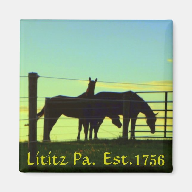 Horses at Sunset in Lititz Pa. Magnet (Front)