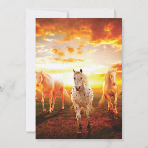 Horses at sunset throw pillow holiday card