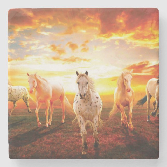 Horses at sunset throw pillow stone coaster (Front)