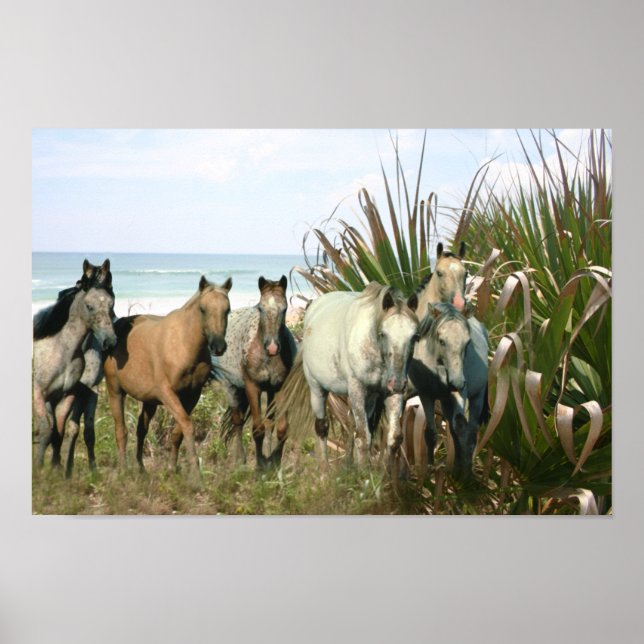 Horses At The Beach Print (Front)