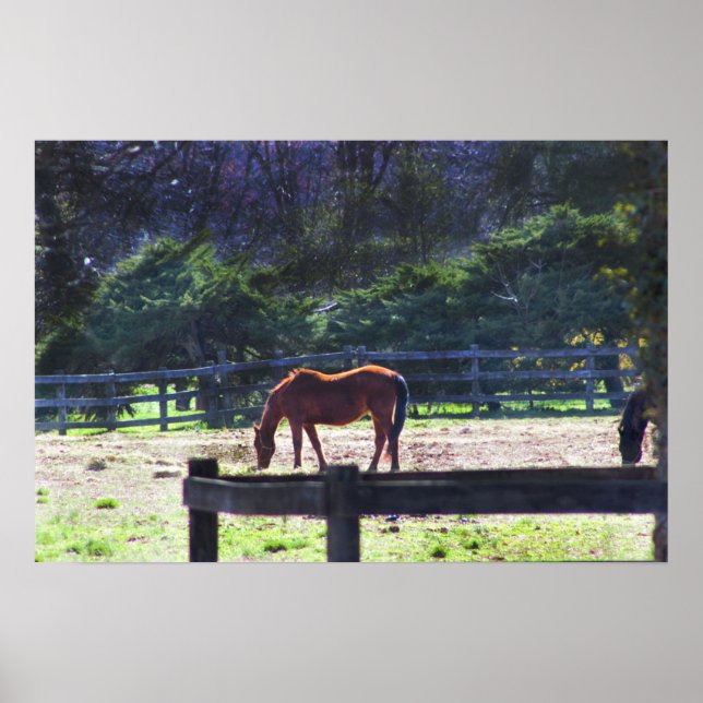 Horses at the Farm Poster (Front)