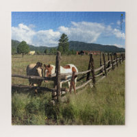 Horses At The Split Rail Fence Photograph