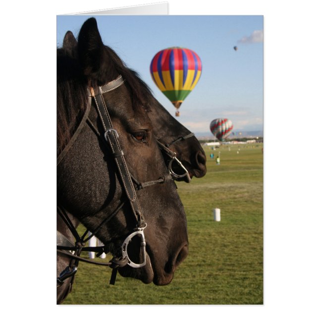 Horses & Balloons (Front)