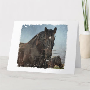 Horses Behind The Fence Card