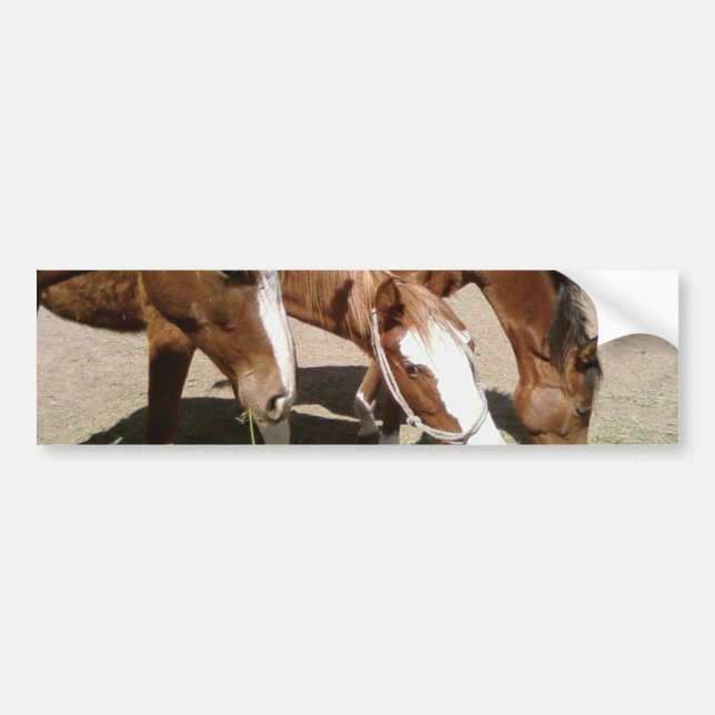 Horses Bumper Sticker (Front)