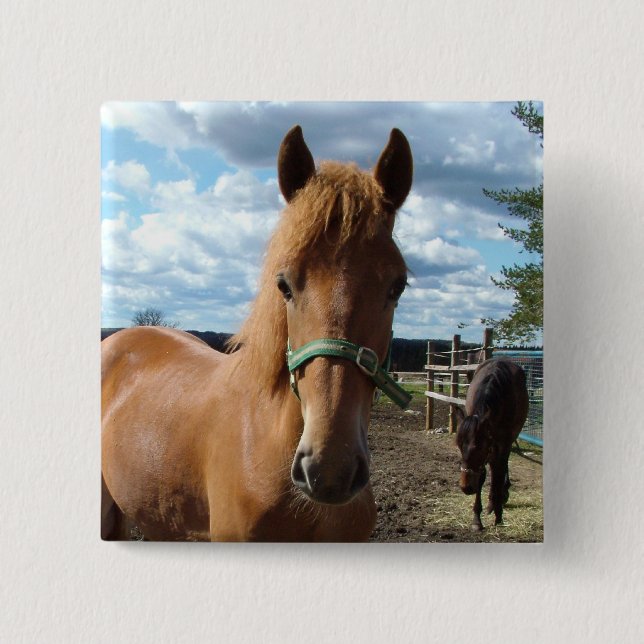 Horses button (Front)