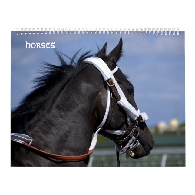 horses calendar (Cover)