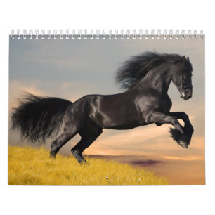 Horses Calendar