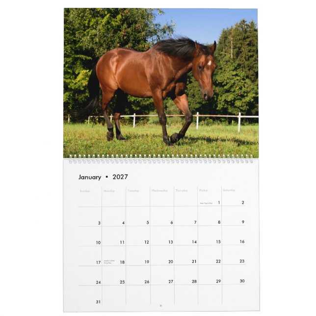 Horses Calendar (Jan 2027)