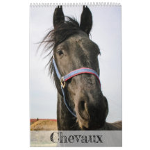 Horses Calendar...