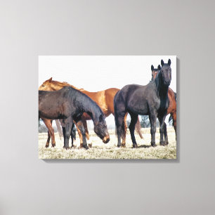 HORSES CANVAS PRINT