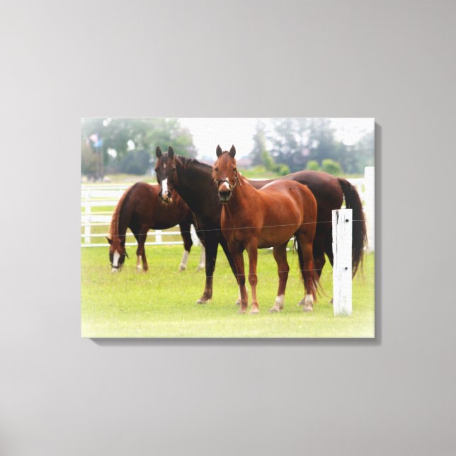Horses/Canvas Wrap Canvas Print (Front)