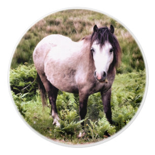 HORSES CERAMIC KNOB