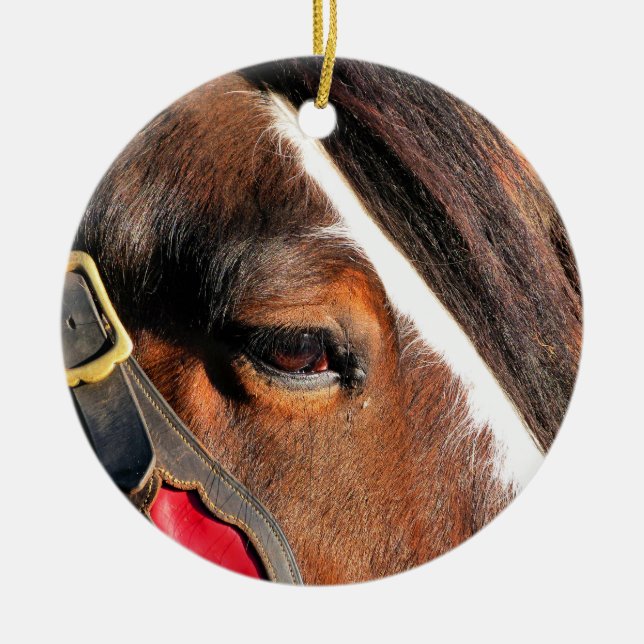 HORSES CERAMIC TREE DECORATION (Front)