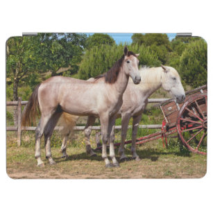 Horses, Cercal, Alentejo, Portugal iPad Air Cover