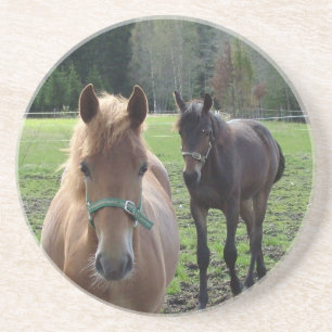 Horses coaster