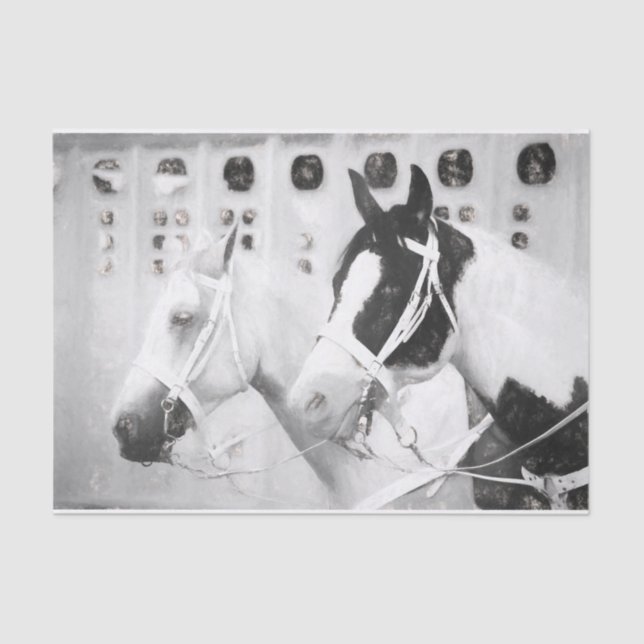 Horses Country Rustic Black And White Western Tissue Paper (Front)