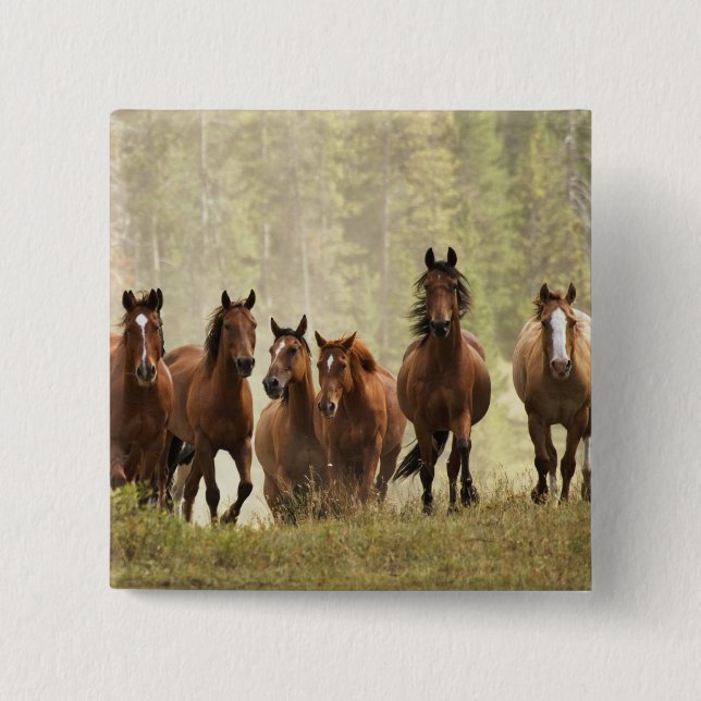 Horses cresting small hill during roundup 15 cm square badge (Front)
