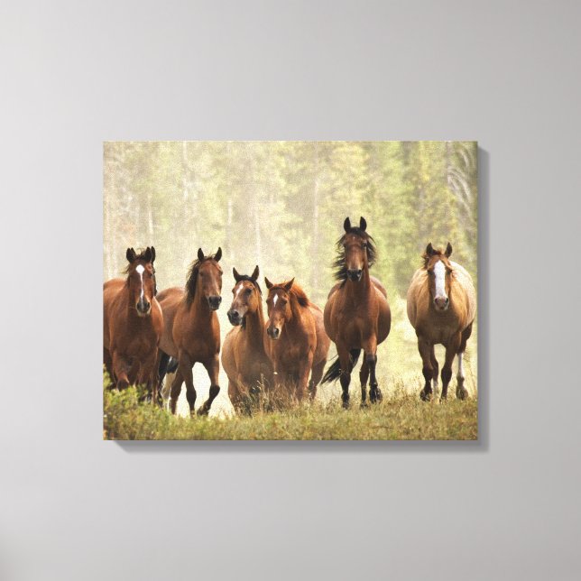 Horses cresting small hill during roundup canvas print (Front)