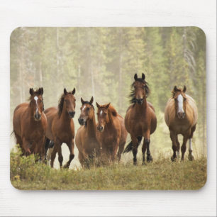 Horses cresting small hill during roundup mouse pad