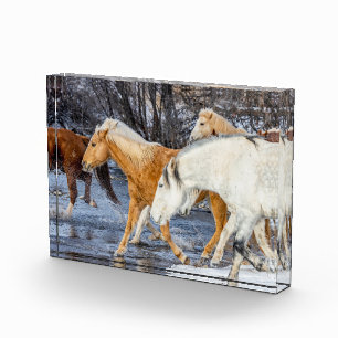 Horses Crossing the Stream Photo Block