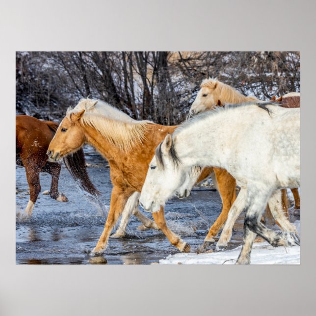 Horses Crossing the Stream Poster (Front)